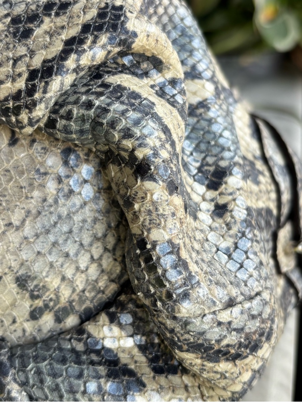 Coach Python-Print Leather Shoulder Bag in Blue, Gray and Cream - Picture 9 of 15